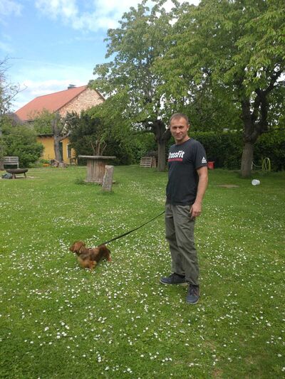  Halberstadt,   , 40 ,     