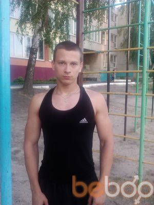  3768925  , 31 ,    