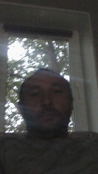  ,    , 41 ,   ,   