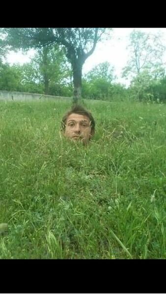  ,   Ivashka, 44 ,   ,   