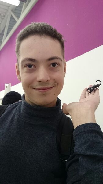  ,   , 33 ,   ,   