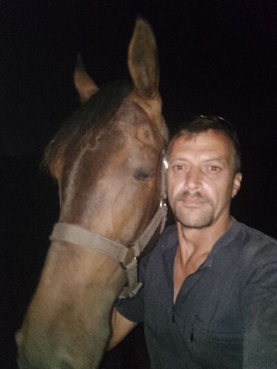  ,   , 45 ,   ,   