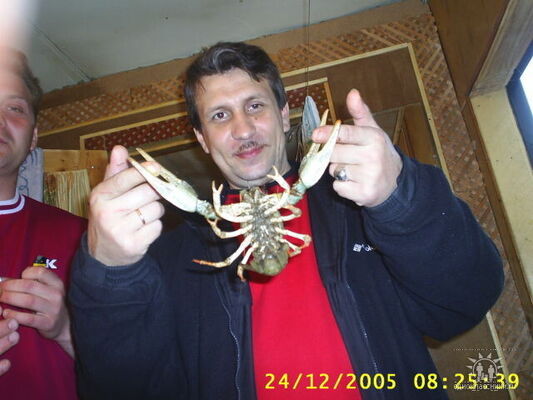  ,   , 57 ,   ,   