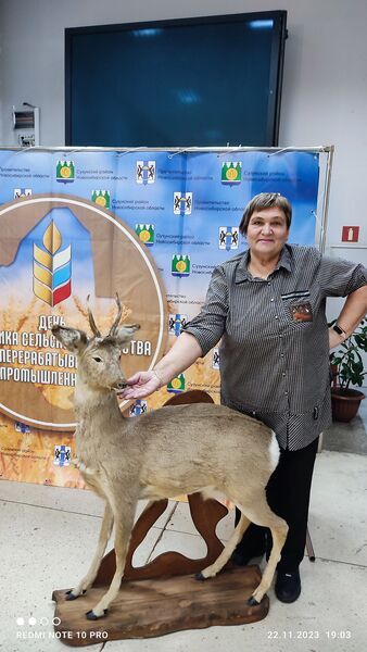  ,   Valentina, 71 ,   ,   , c 
