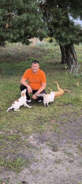  ,   , 49 ,     , c , 