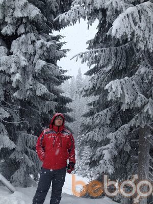  ,   , 46 ,   
