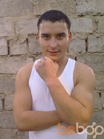  ,   Daler, 37 ,     , c , 