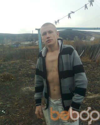  3578175  , 33 ,    -