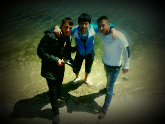  ,   Bosss, 31 ,   ,   , c 