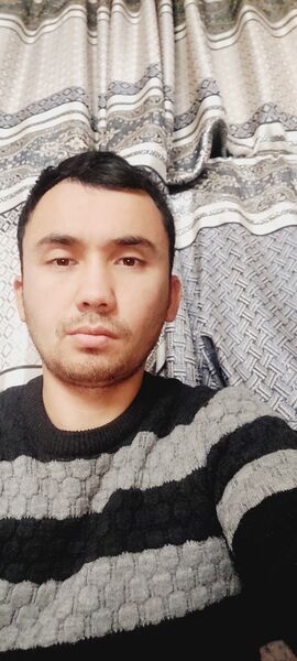  ,   WOLF, 35 ,   ,   