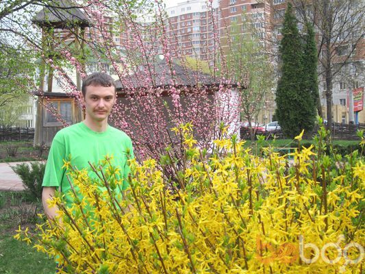  ,   Anemo, 37 ,     , c 