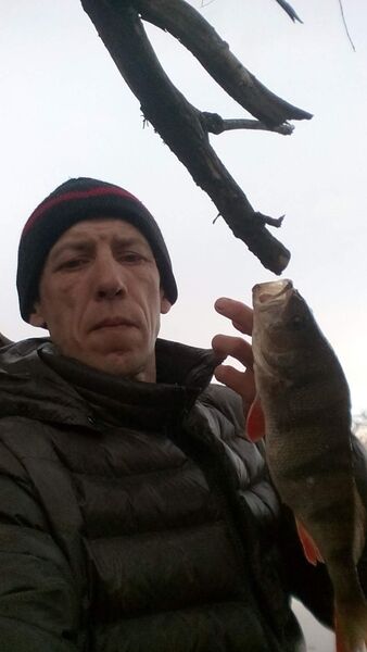  ,   , 48 ,  
