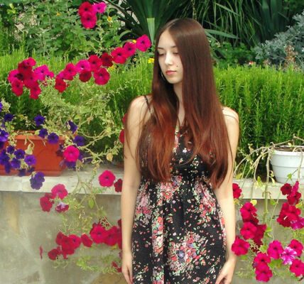  ,   Nifertity, 24 ,   ,   , c , 