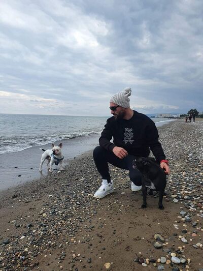  ,   Elisei, 28 ,   ,   