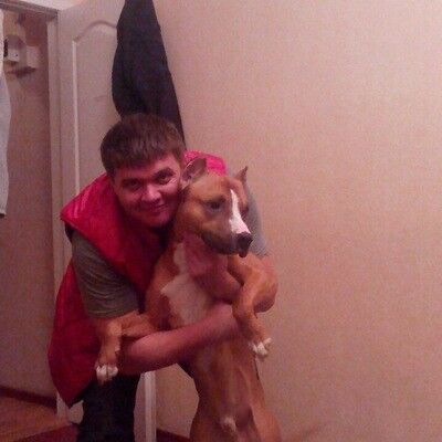 ���������� ���������, ���� ������� ��������, 38 ���, ������������ ��� ������, ����� � ���������, c�������� ���������