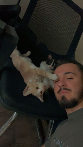  ,   Galip, 25 ,   ,   , c 