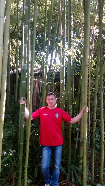  ,   Sergey, 54 ,   ,   , c , 