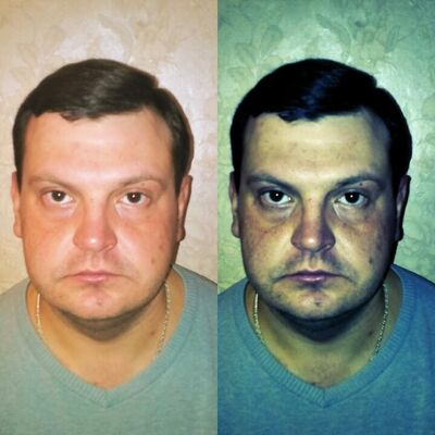 ,   Fizz, 40 ,     , c 