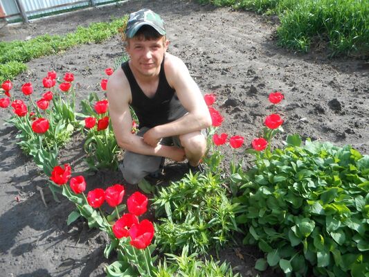  ,   Maks, 33 ,   ,   , c 