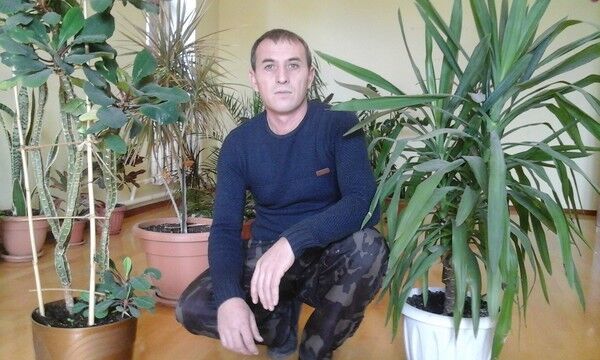  ,   , 51 ,   