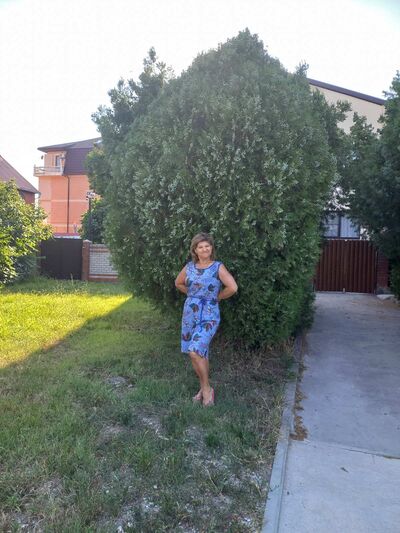  ,   , 53 ,     , c 