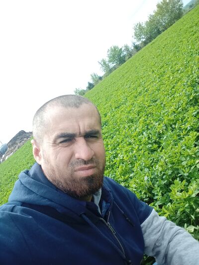  ,   , 36 ,   , 