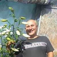  ,   , 42 ,   