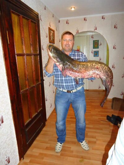  ,   , 53 ,     