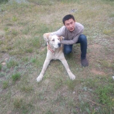  ,   Azamat, 35 ,   ,   , c , 