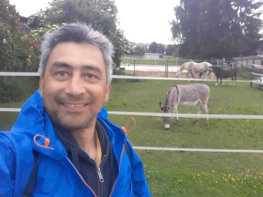  Bochum,   Archi, 46 ,   ,   , c , 