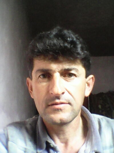  ,   Amryllo, 51 ,   ,   , c , 