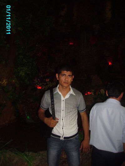  ,   Zoxid, 38 ,   ,   , c 