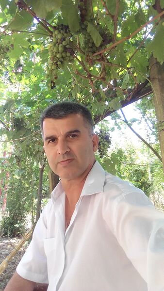  ,   Mirzeli, 48 ,   ,   , c 
