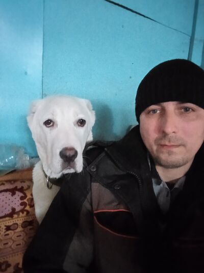  ,   , 37 ,   