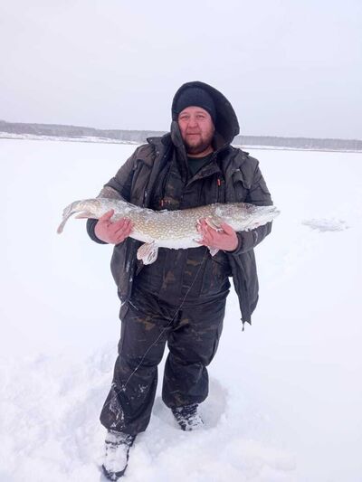 ���������� ���������, ���� ������� ��������, 36 ���, ������������ ��� c�������� ���������