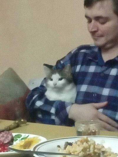  ,   , 29 ,   ,   , c , 