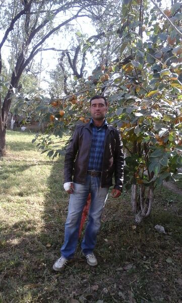  ,   , 39 ,     , c 