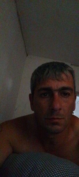  ,   , 43 ,   