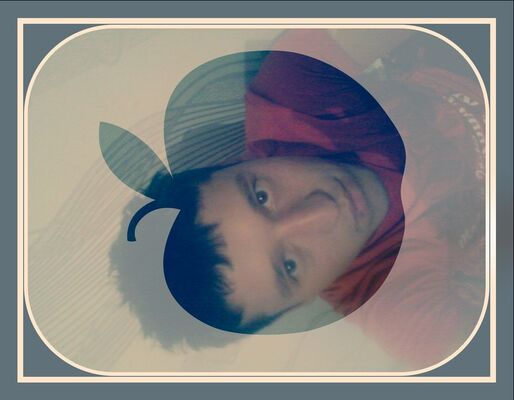  ,   BOBUR, 33 ,   ,   , c 