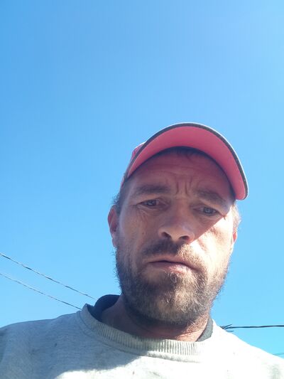  -,   , 41 ,   ,   