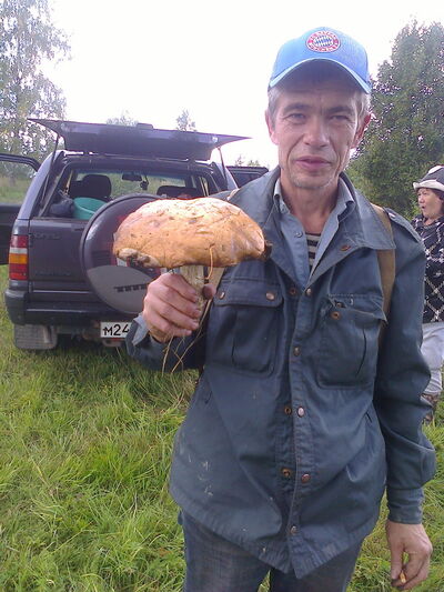  ,   , 56 ,   ,   , c 