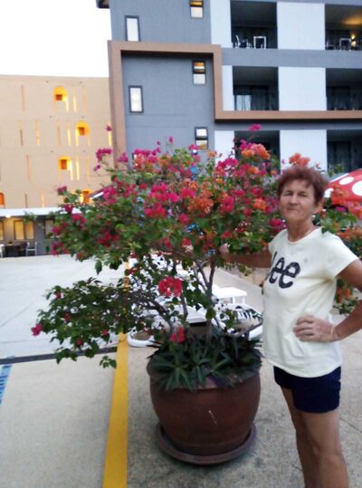  ,   , 66 ,   ,   , c , 