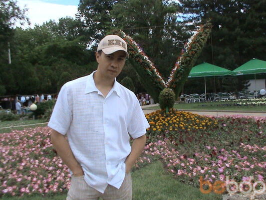  ,   96bizon99, 38 ,     , c 