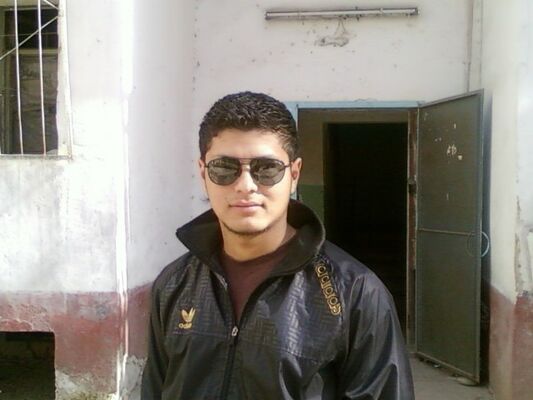  ,   SARDOR MS, 38 ,   ,   , c 