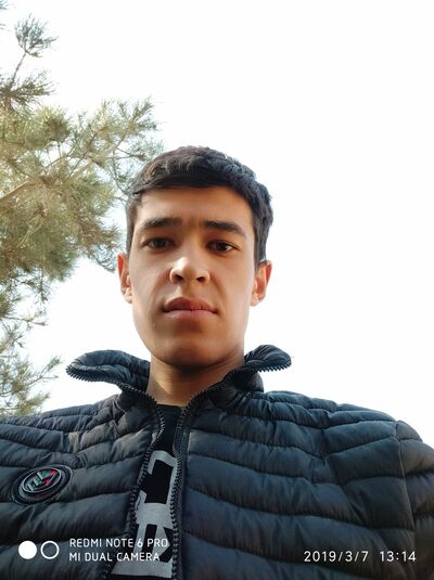  ,   , 31 ,     , c , 