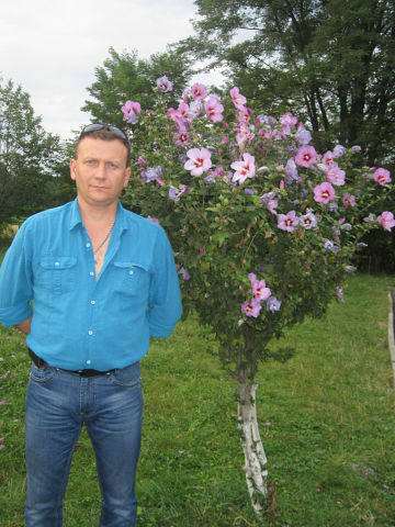  ,   , 49 ,   