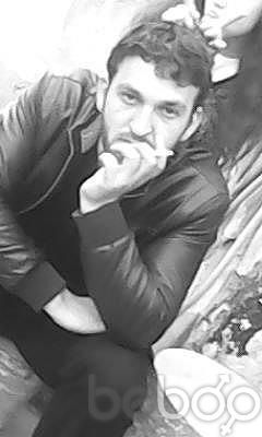  ,   TELO, 37 ,   ,   , c 