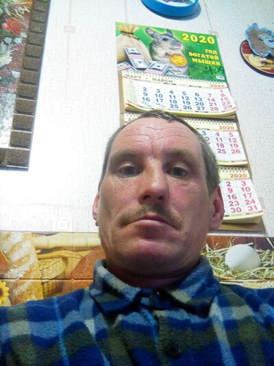  -,   , 48 ,   ,   , c 