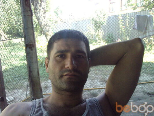  ,   Taxo, 46 ,  