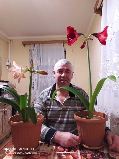  ,   , 65 ,   ,   , c 